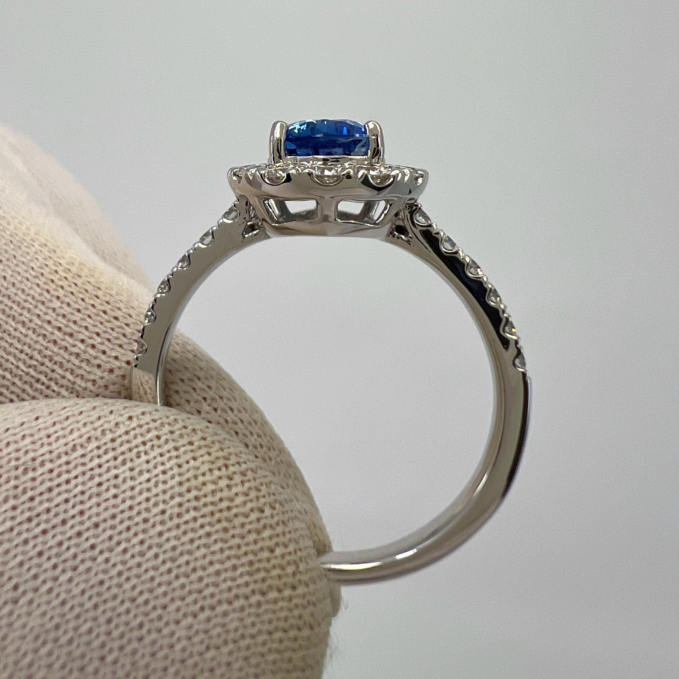 2.13ct Fine Cornflower Blue Ceylon Sapphire And Diamond 18k White Gold Halo Ring In New Condition For Sale In Birmingham, GB