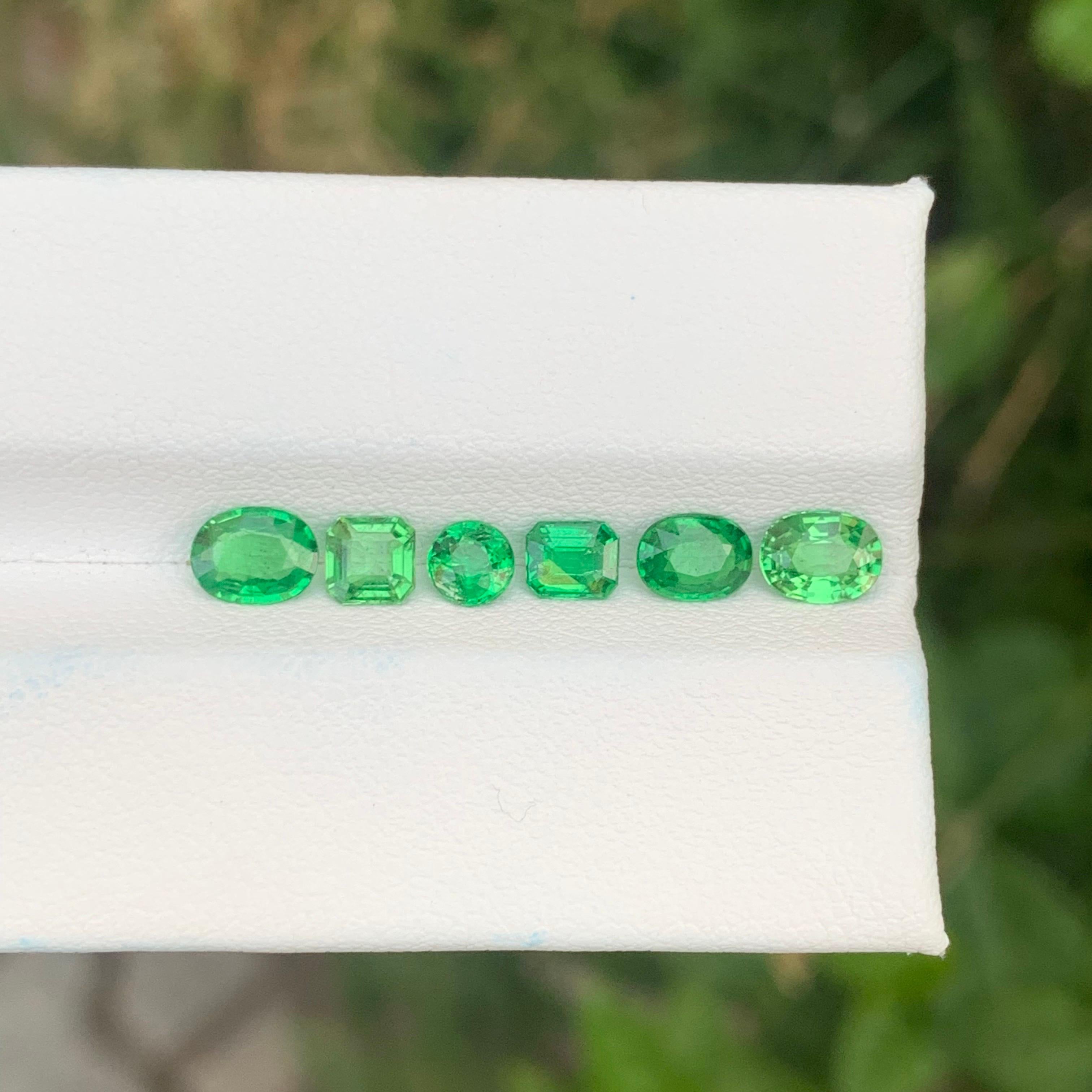 Faceted Tsavorite Garnet Lot 

Weight: 2.15 Carat
Clarity : SI
Treatment: Non
Certificate: On Client Demand

Faceted tsavorite garnet is a stunning green gemstone known for its vivid brilliance and exceptional clarity. A member of the grossular