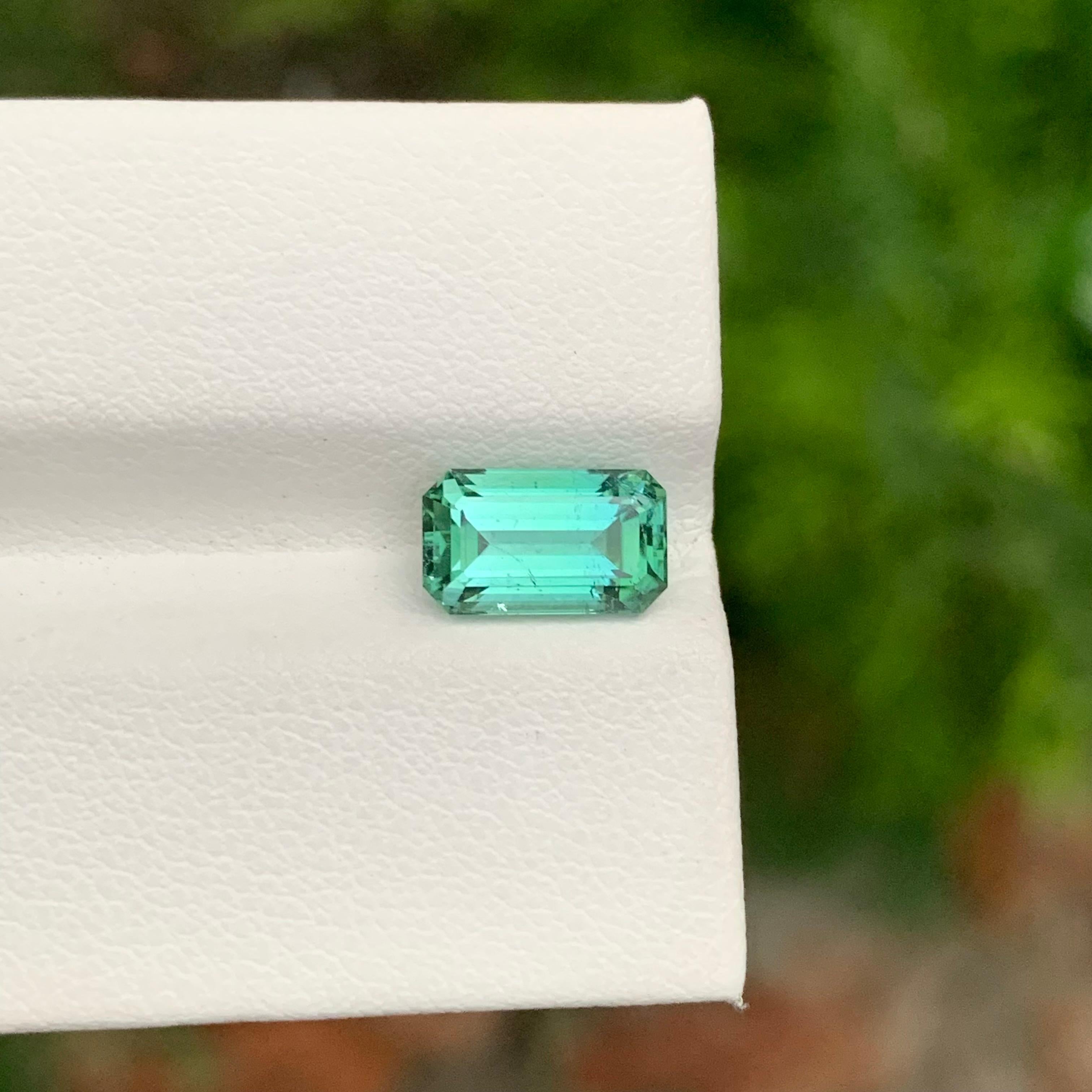 Loose Mint Green Tourmaline

Weight: 2.15 Carats
Dimension: 9.2 x 5.4 x 4.7 Mm
Colour: Mint Green
Origin: Afghanistan
Certificate: On Demand
Treatment: Non
Shape: Emerald 


Tourmaline is a captivating gemstone known for its remarkable variety of
