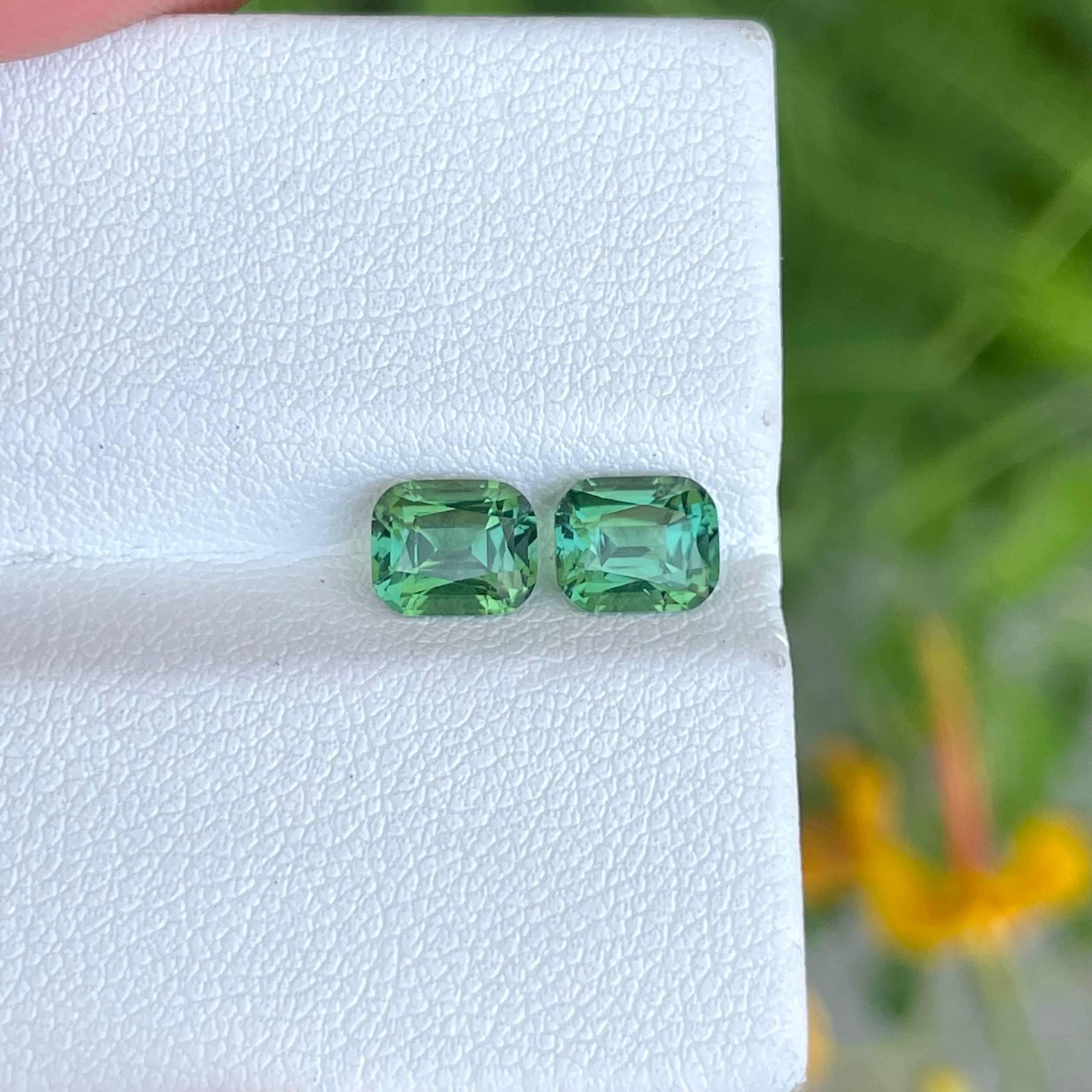 Peso 2,17 carati 
Dimensioni 6,4x5,2x4,3 mm
Trattamento nessuno 
Origine Afghanistan 
Pulisci la lente d'ingrandimento 
Forma del cuscino
Tagliare un cuscino di fantasia 



La coppia di pietre di tormalina verde bluastra naturale da 2,17 carati,