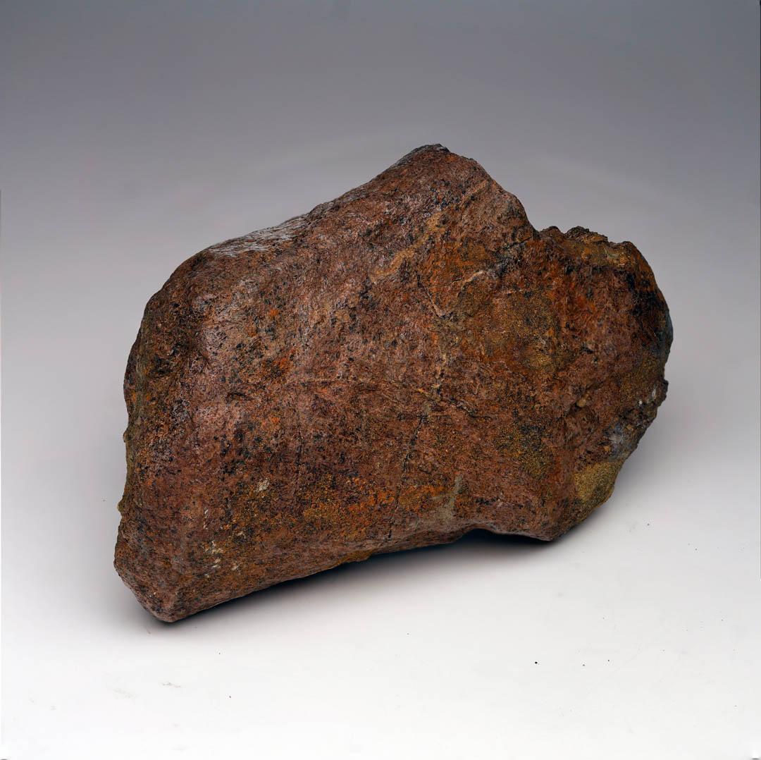 This substantial Triceratops jaw bone fossil from offers a rare glimpse into the anatomy of one of the most iconic dinosaurs of the Cretaceous period. With rugged surface detail and rich mineralization, this genuine specimen showcases the power and