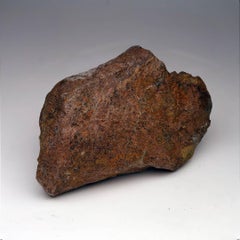 2.17 Lb. Triceratops Jaw Bone Fossil // Late Cretaceous