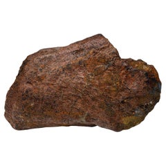 2.17 Lb. Triceratops Jaw Bone Fossil // Late Cretaceous