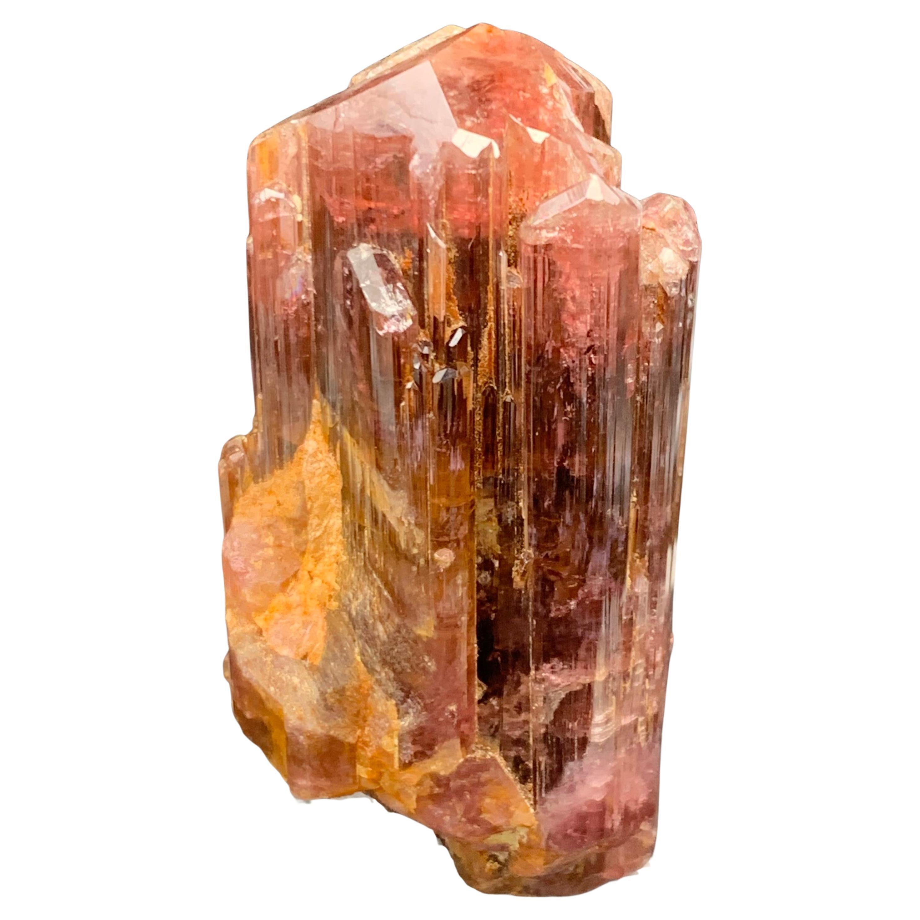 217.77g Rare Pink Brown Terminated Tourmaline Crystal Natural Bi-Color Specimen en vente