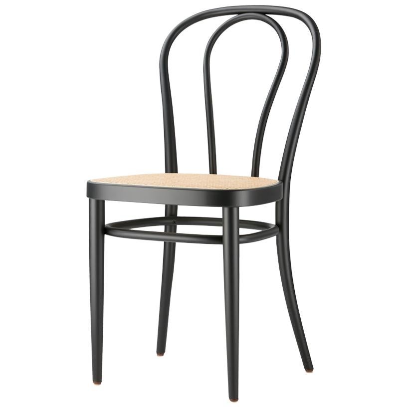 Customizable 218 Chair Bentwood Chair by Gebrüder T, 1819 For Sale