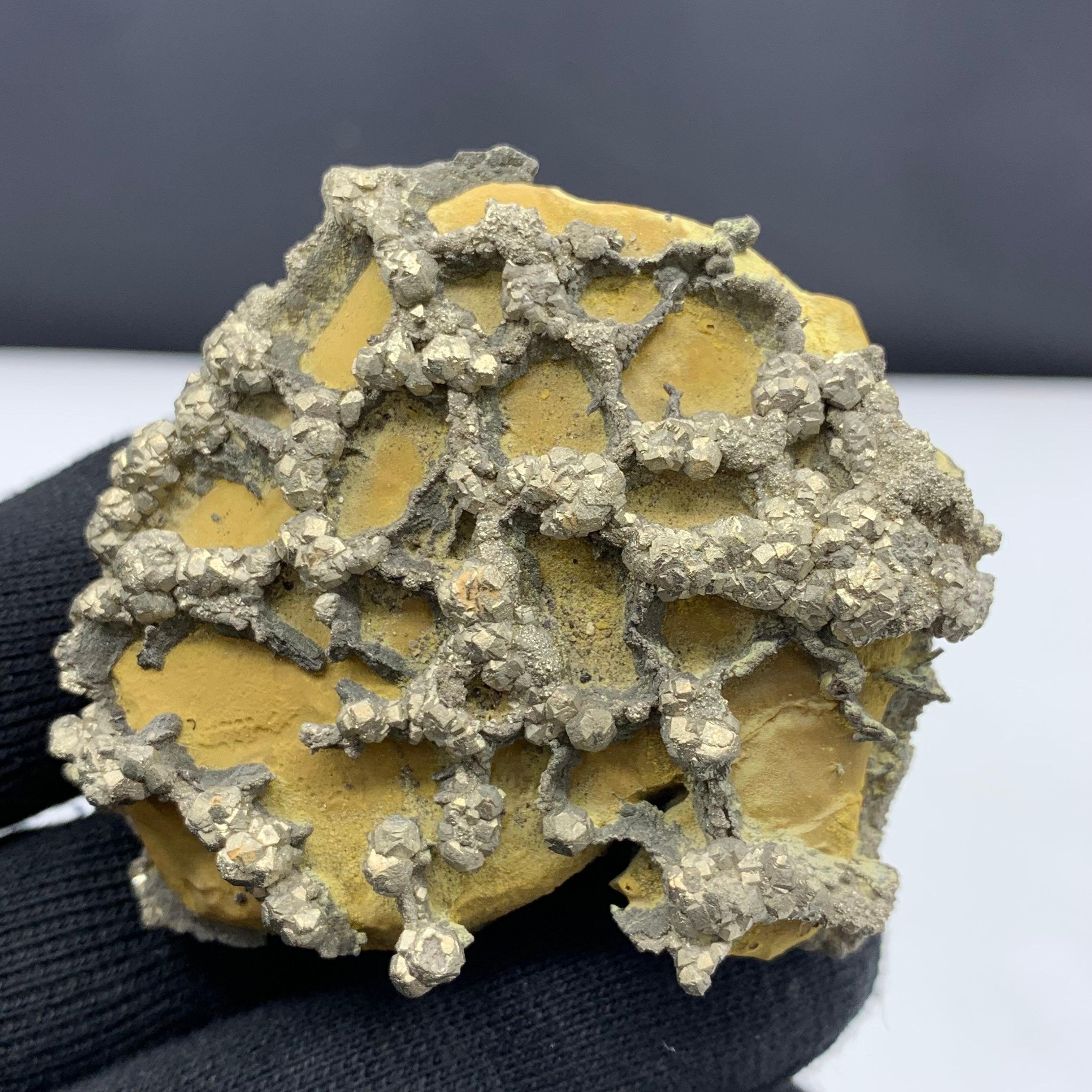 218.47 Gram Attractive  Pyrite Specimen From Pakistan

Weight: 218.47 Gram
Dimension: 6.7 x 6.4 x 3.9 Cm
Origin: Pakistan

Pyrite is found in a wide variety of geological settings, from igneous, sedimentary and metamorphic rock to hydrothermal