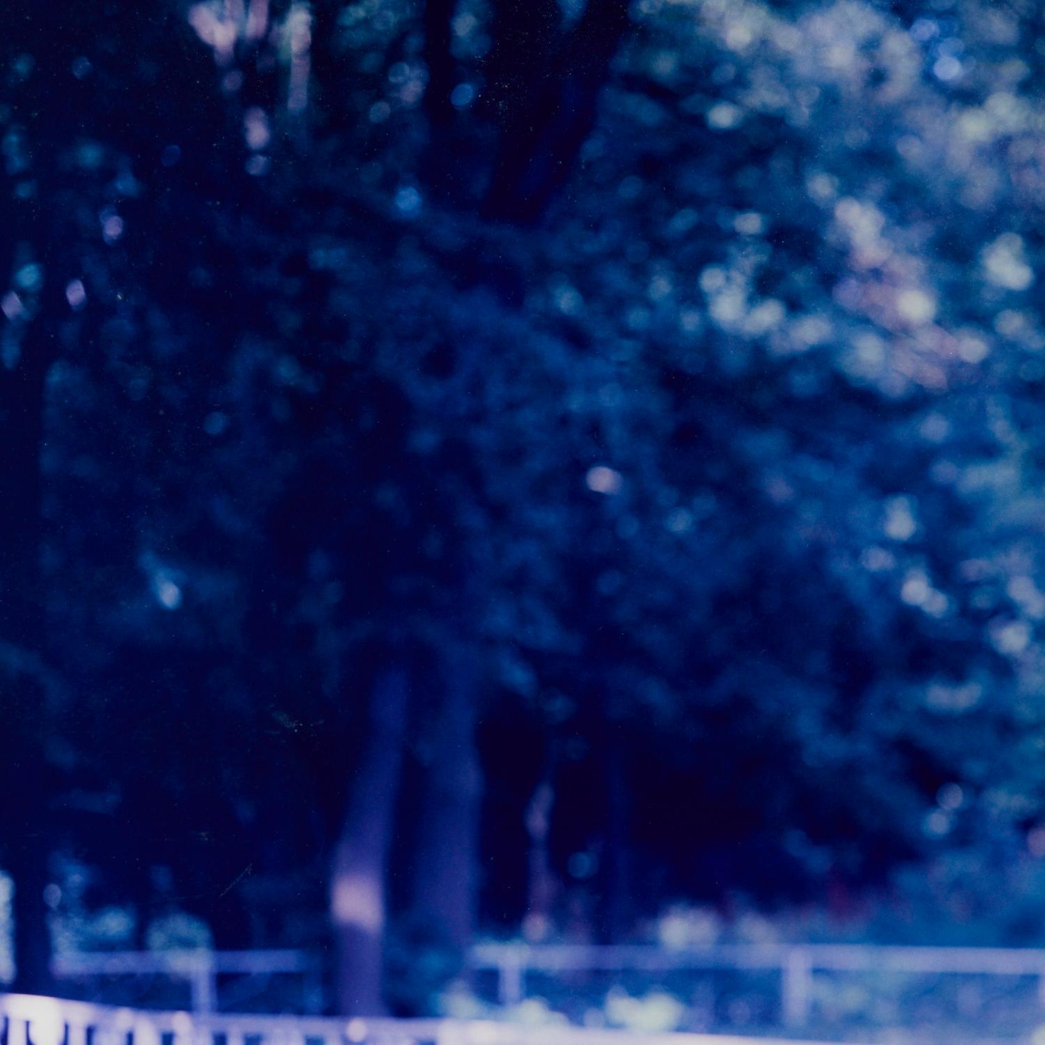 21. Jahrhundert. Groß gerahmte kobaltblaue, kobaltblaue James Billings Fine Art-Fotografie im Zustand „Gut“ im Angebot in Morristown, NJ