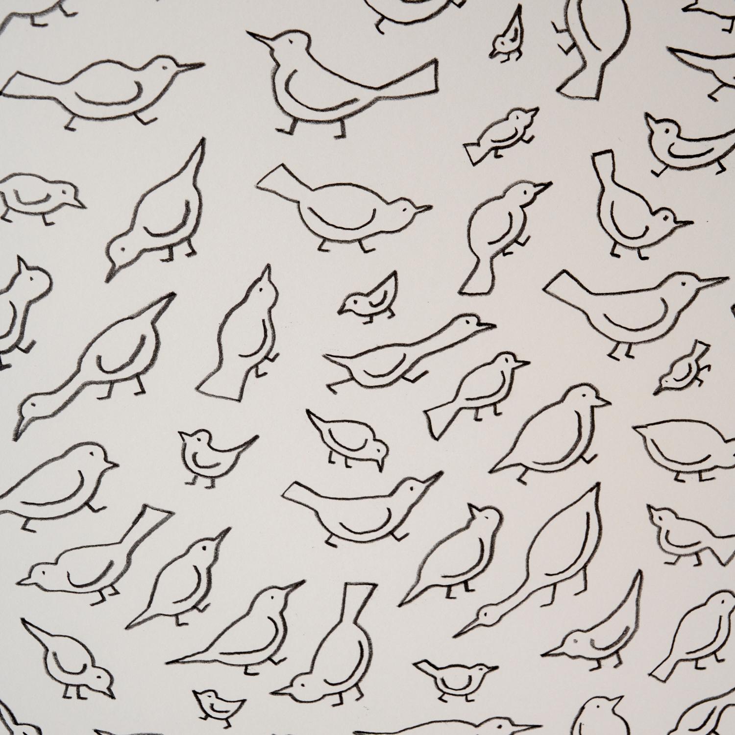 21. Jahrhundert Tom Nussbaum – 95 Vögel – gerahmte Graphitzeichnung auf Bristol-Teller (Moderne) im Angebot