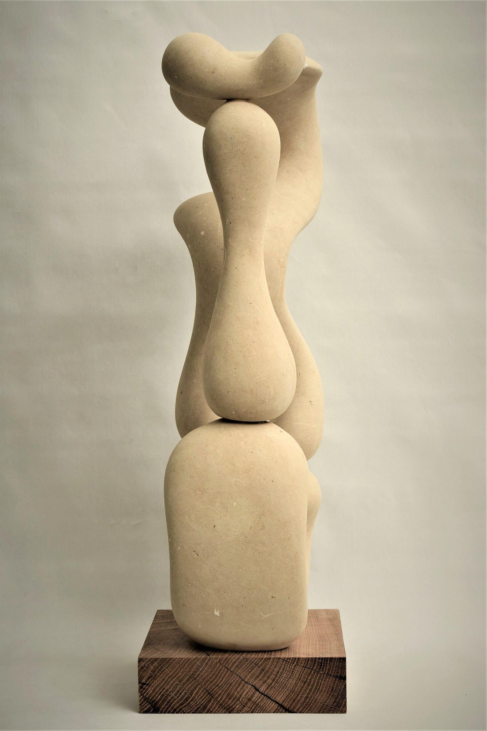 Hand-Carved 21st Century Abstract Sculpture Cellulae 80 Cm Height by Renzo Buttazzo For Sale