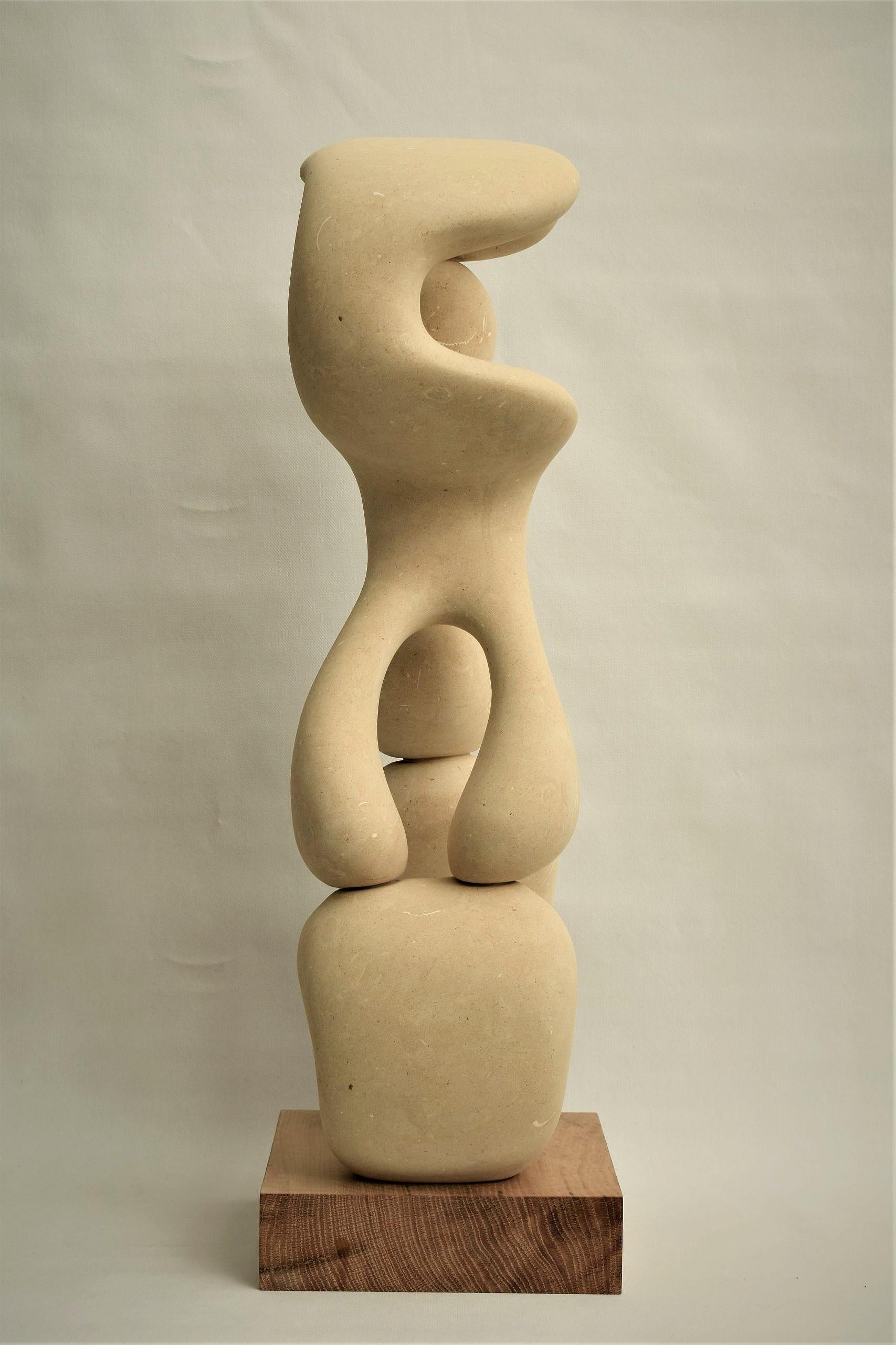 Sculpture abstraite du 21e siècle Cellulae 80 cm de hauteur par Renzo Buttazzo Neuf - En vente à Paris, FR