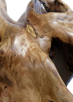 21st Century American Elm Hand Carved Wall Sculpture Texas Based Artist Tim Tam