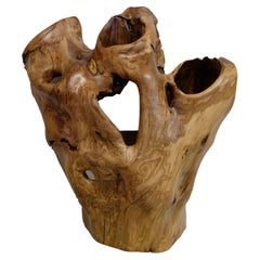 21st Century American Elm Hand Carved Wall Sculpture Texas Based Artist Tim Tam