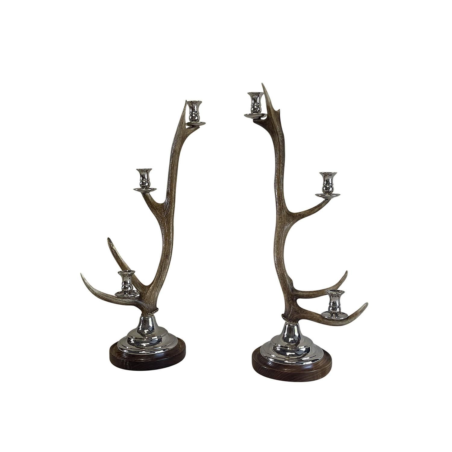 21st Century Belgian Pair of Faux Antler Candle Holders - Sculptural Sticks In Excellent Condition In West Palm Beach, FL