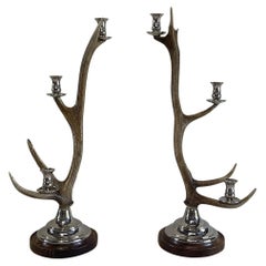 21st Century Belgian Pair of Faux Antler Candle Holders - Sculptural Sticks