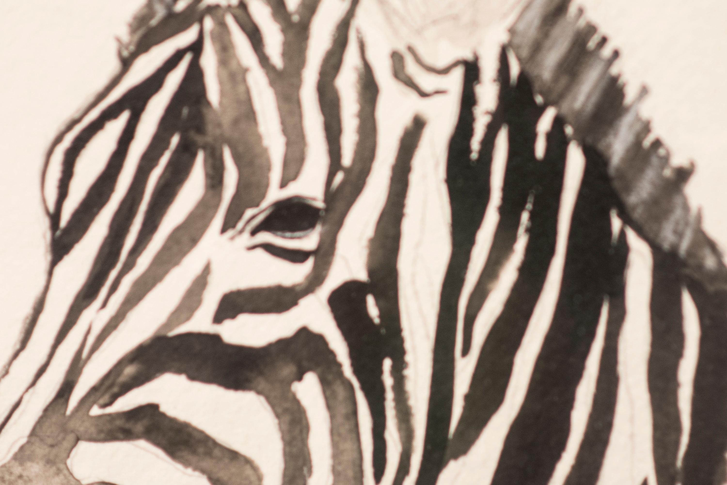 zebra crtez