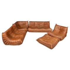Braunes Ledersofa "Togo" des 21. Jahrhunderts von Michel Ducaroy für Ligne Roset