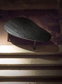 21st Century by Pelizzari Studio Oak Wood Coffee Table Black