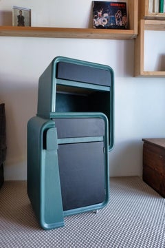 21e siècle Cabinet Sculpture surréaliste Contemporary Wood et résine colorée
