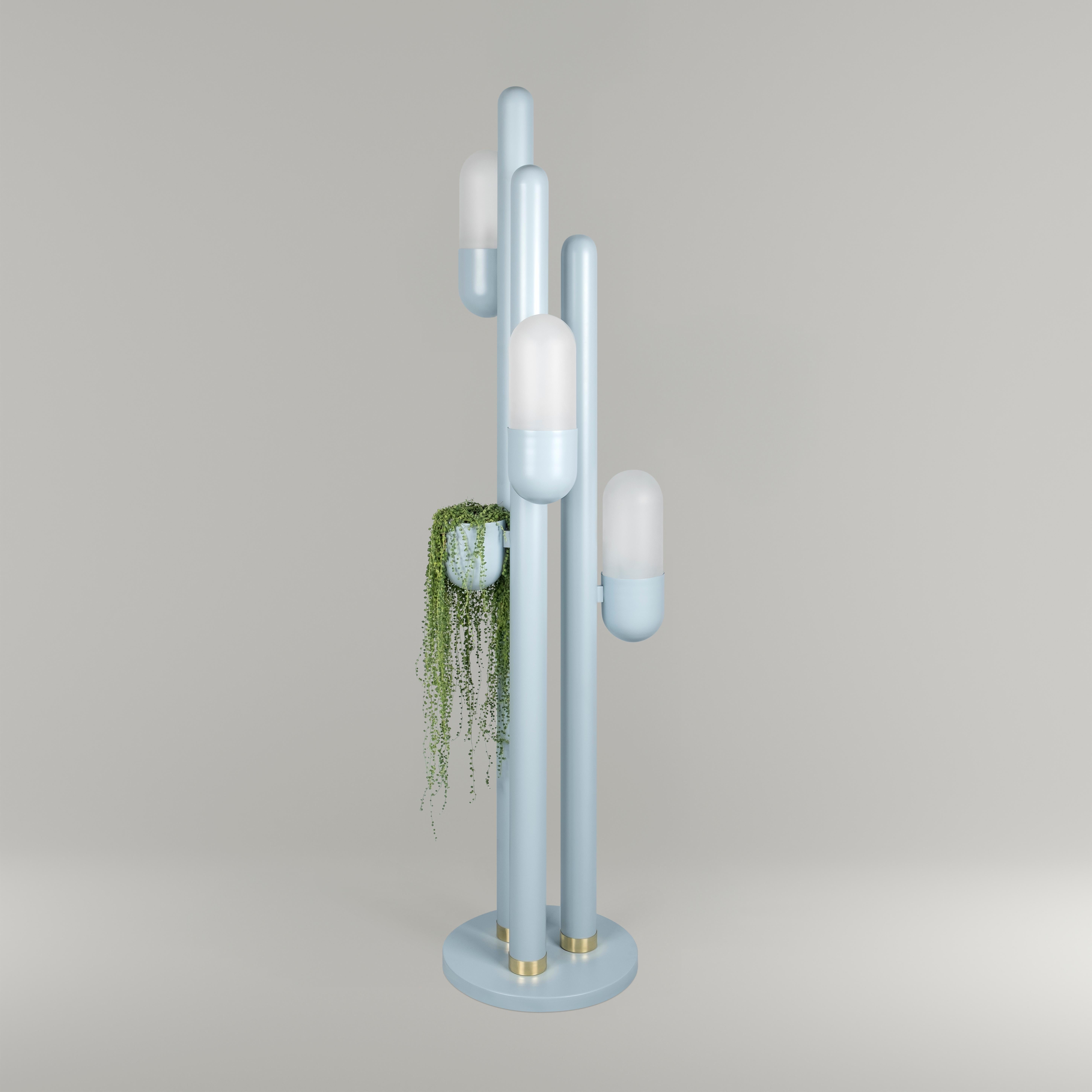 Les cactus, qui appartiennent à la famille des succulentes, font preuve d'une adaptation remarquable pour prospérer dans les régions désertiques d'Amérique. Ils se caractérisent notamment par des tiges épaisses et charnues, souvent ornées de