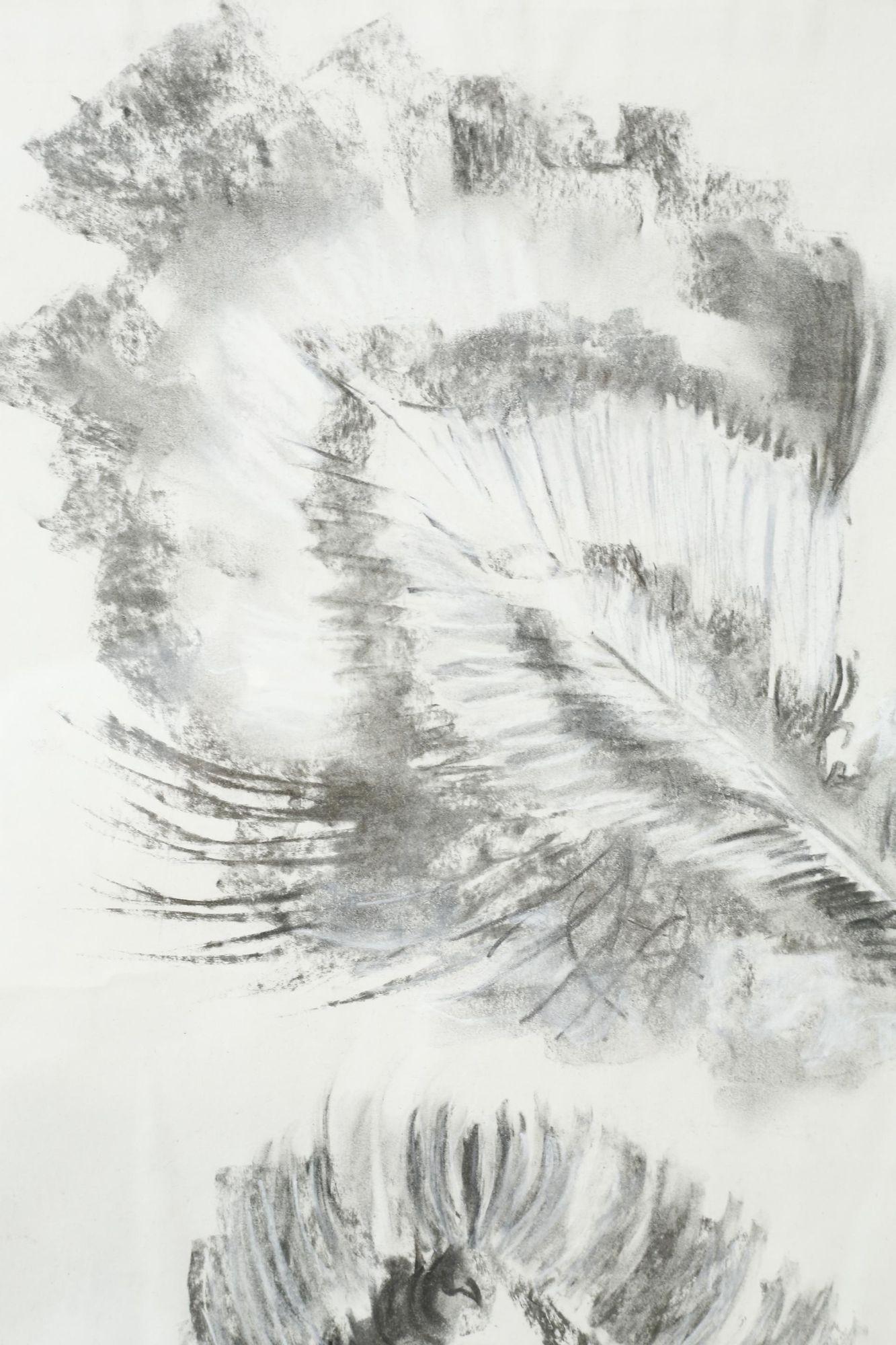 Contemporary 21st century Charcoal and chalk artwork - Feathers 2 For Sale