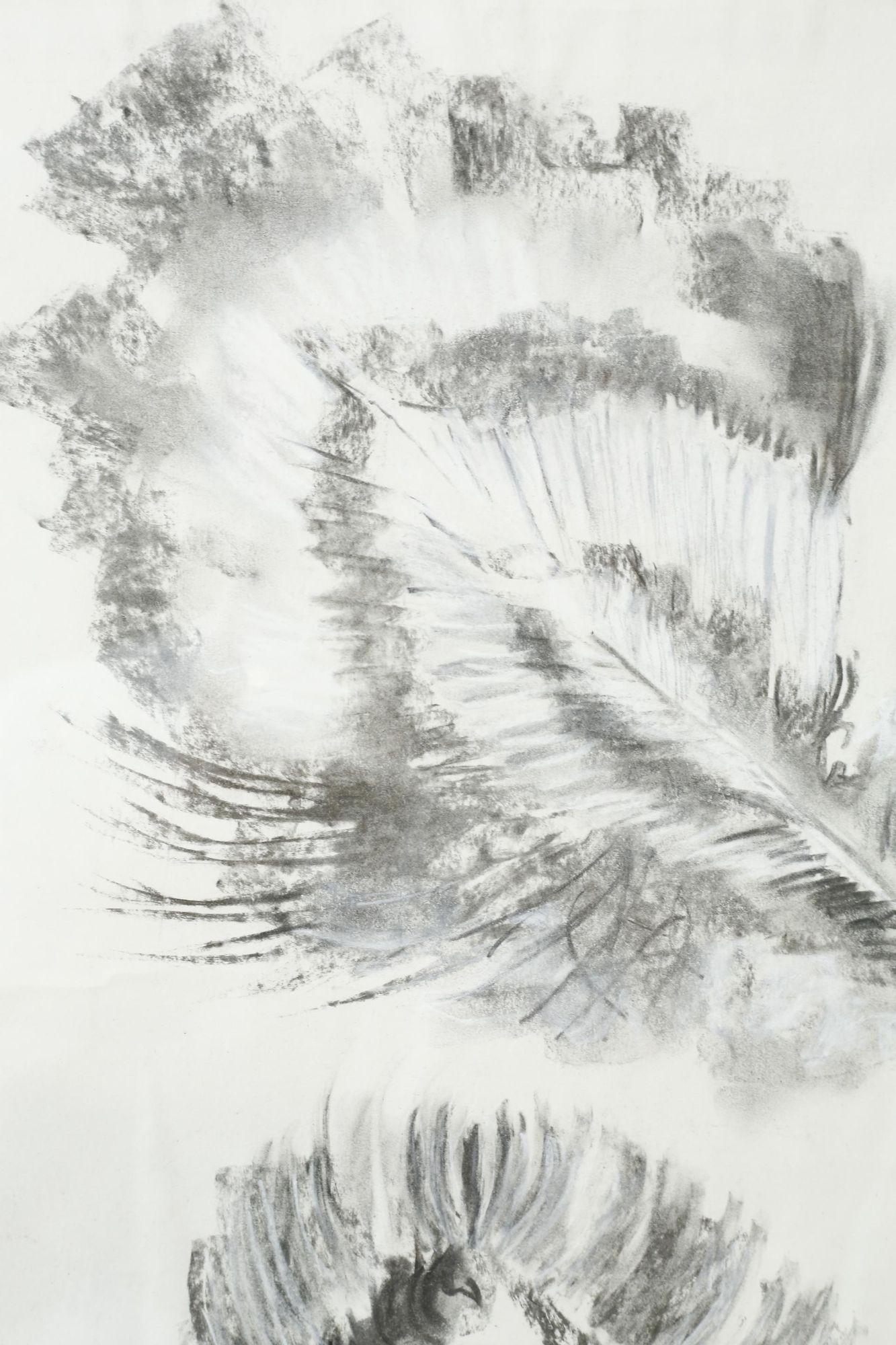XXI secolo e contemporaneo Opere d'arte a carboncino e gesso del XXI secolo - Piume 2 in vendita