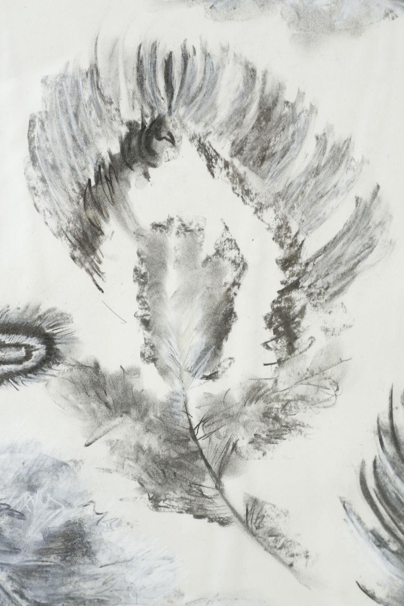 Carta Opere d'arte a carboncino e gesso del XXI secolo - Piume 2 in vendita