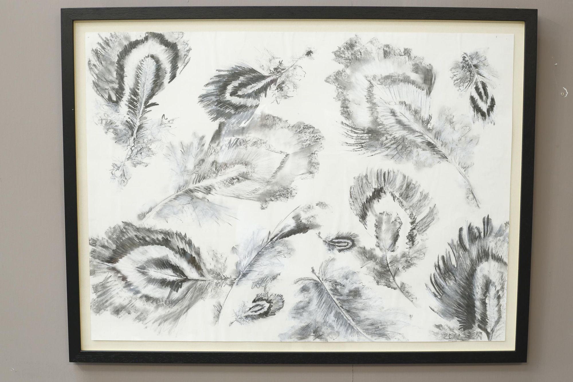 21st century Charcoal and chalk artwork - Feathers 2 For Sale 1