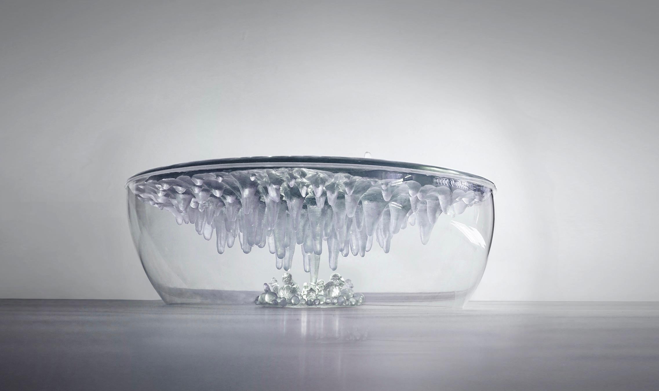 Organic Modern 21st Century Coffe Table 