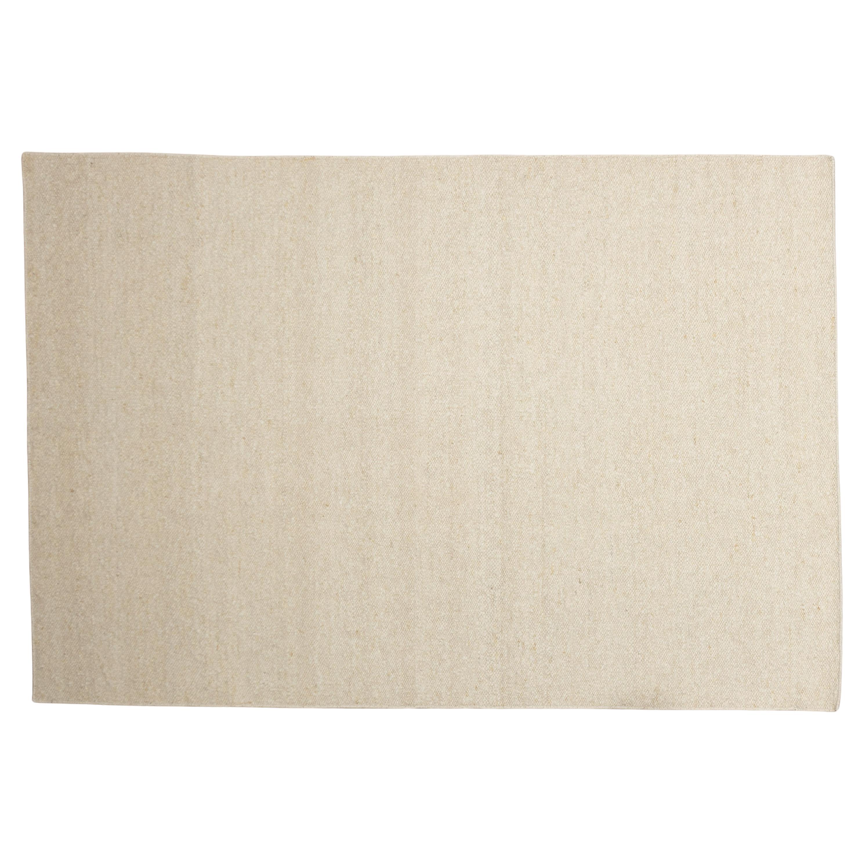 21st Century Contemporary Rug