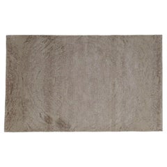 21st Century Contemporary Rug