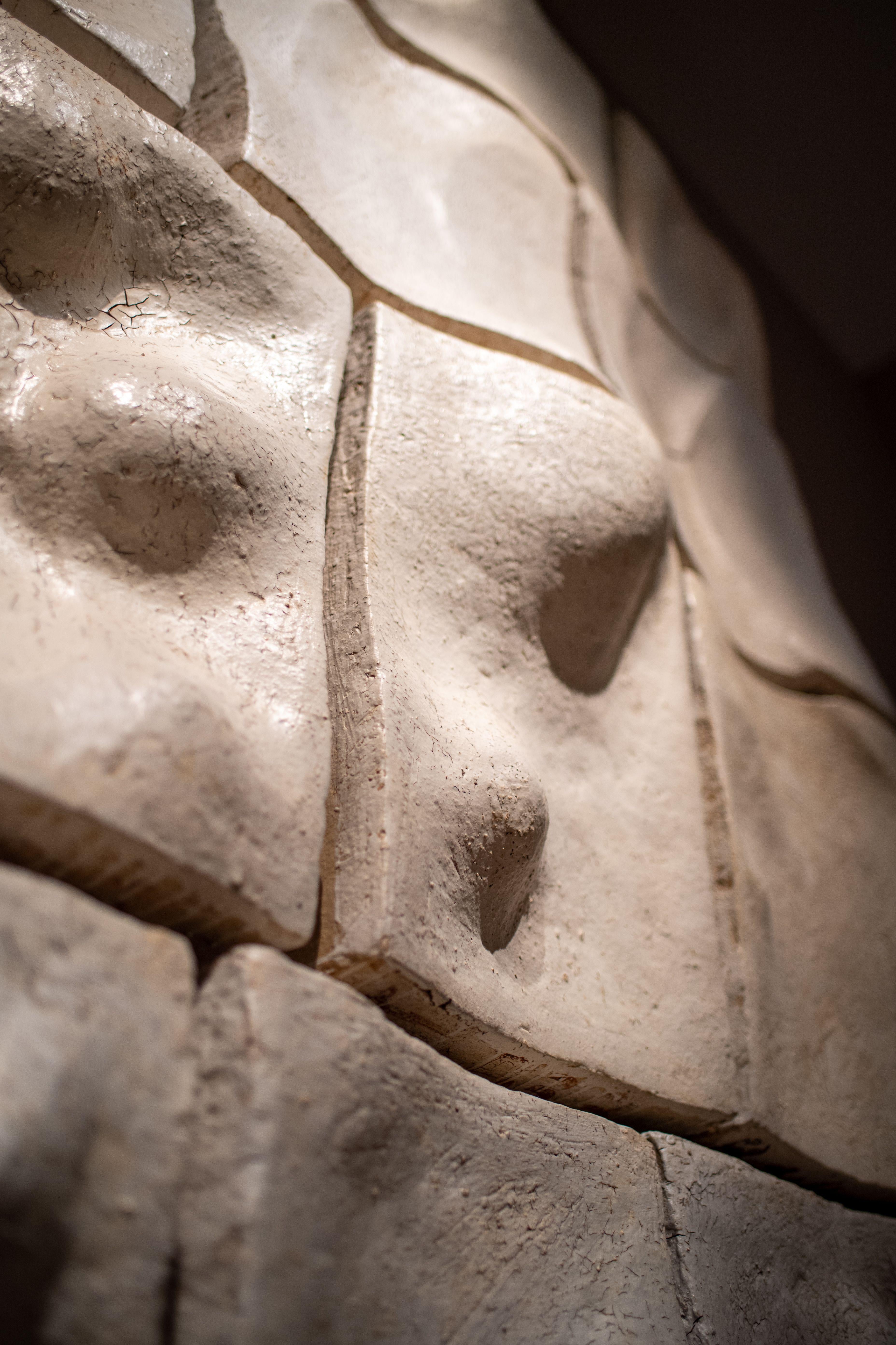 Scultura da parete del XXI secolo 