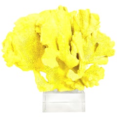 21st Century Faux Coral and Lucite Sculpture