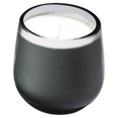 21st Century Federico Peri Stilla Cerae Small Steel Grey Murano Glass