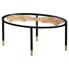 21st Century Fossile Table in Iron, Centuries-Old Olive Burl, Made in Italy