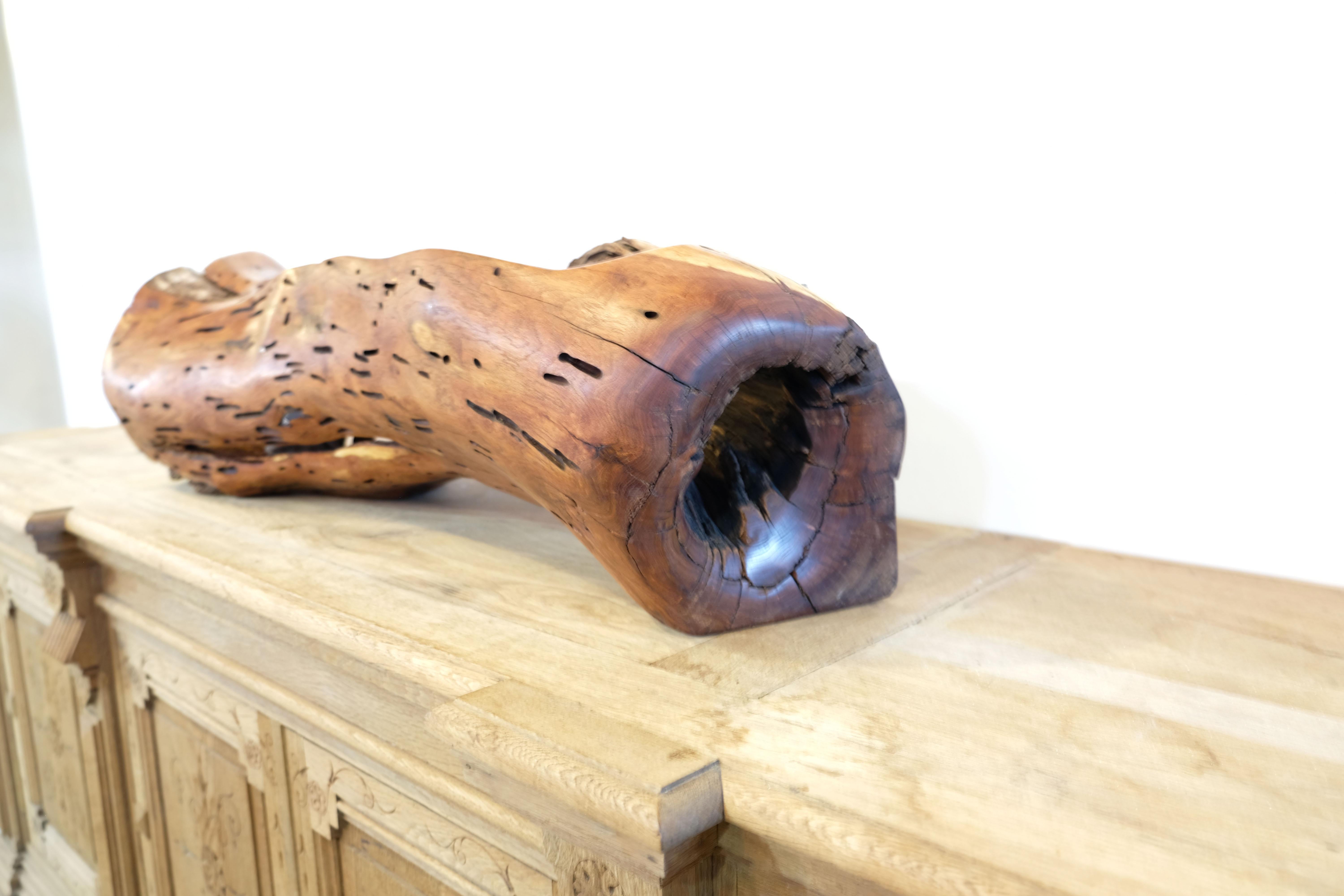 Contemporary 21st Century Hand Carved Mesquite Sculpture by Texas Based Artist Tim Tam For Sale