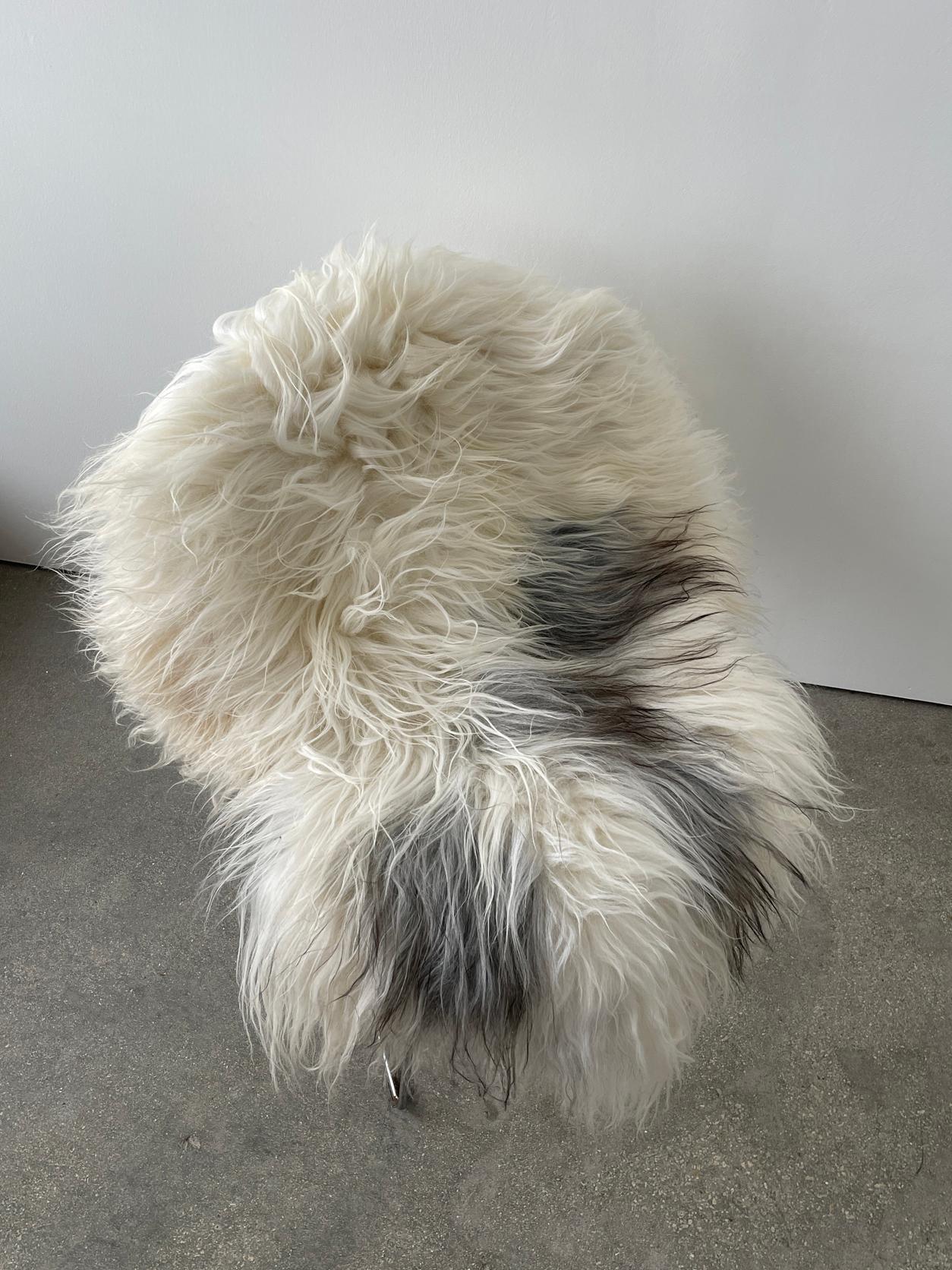 21st century Icelandic Sheepskin with a thick coat and unique and beautiful colorway. Perfect XL size for a rug or furniture cover to add a luxurious look to your space.