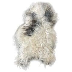 Used 21st Century Icelandic Sheepskin