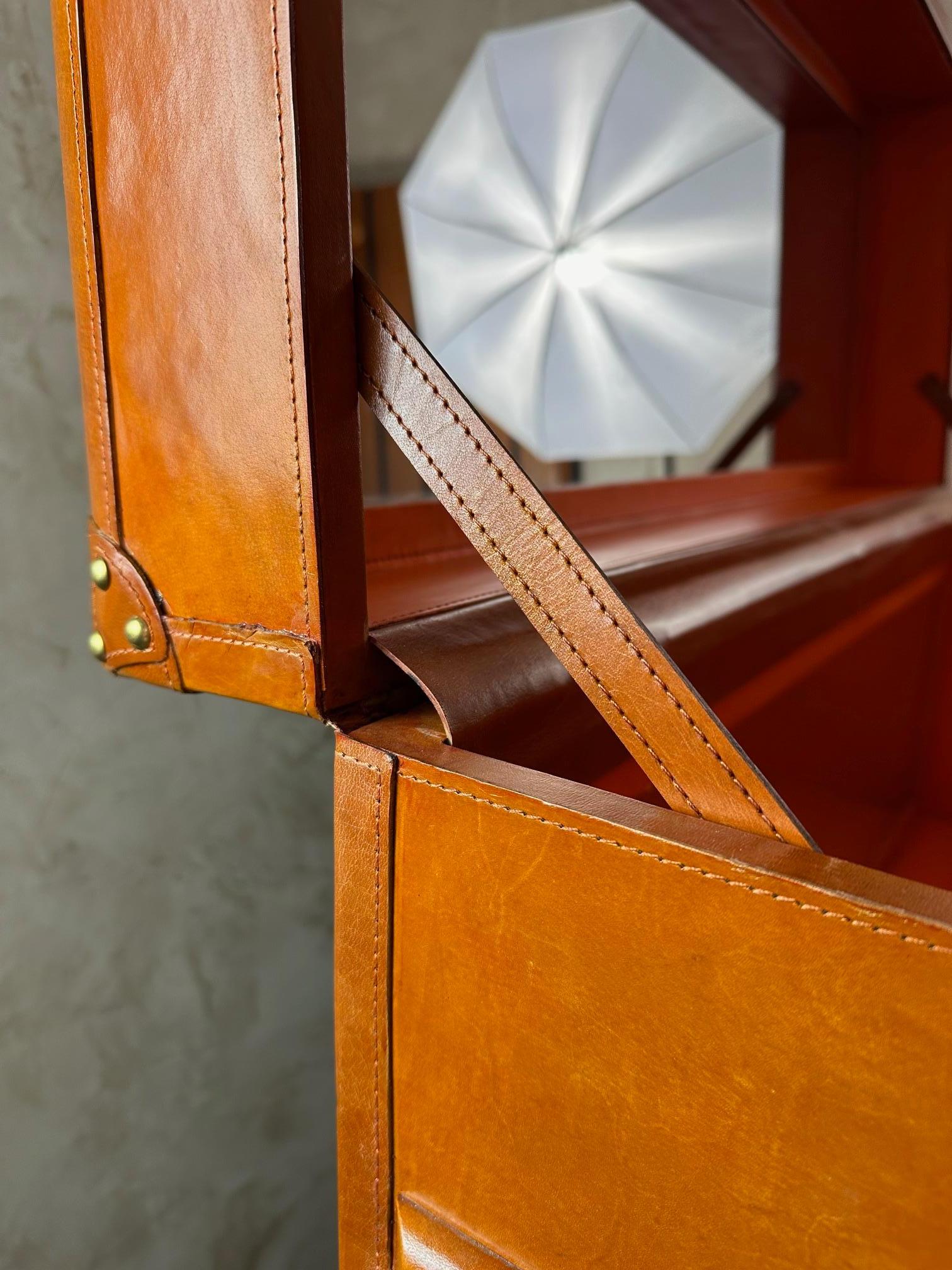 21st century Leather and Brass Bar Trunk 2