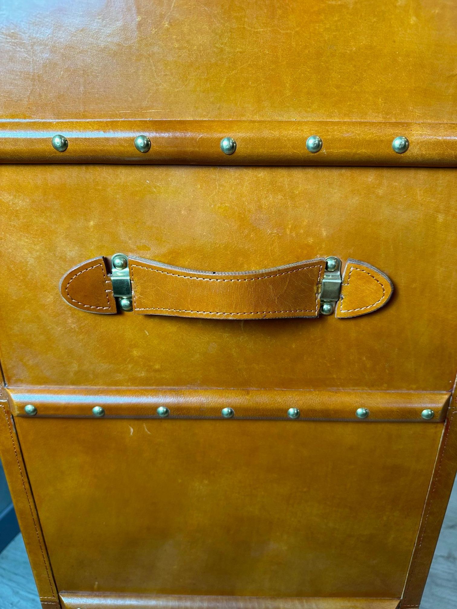 21st century Leather and Brass Bar Trunk 3
