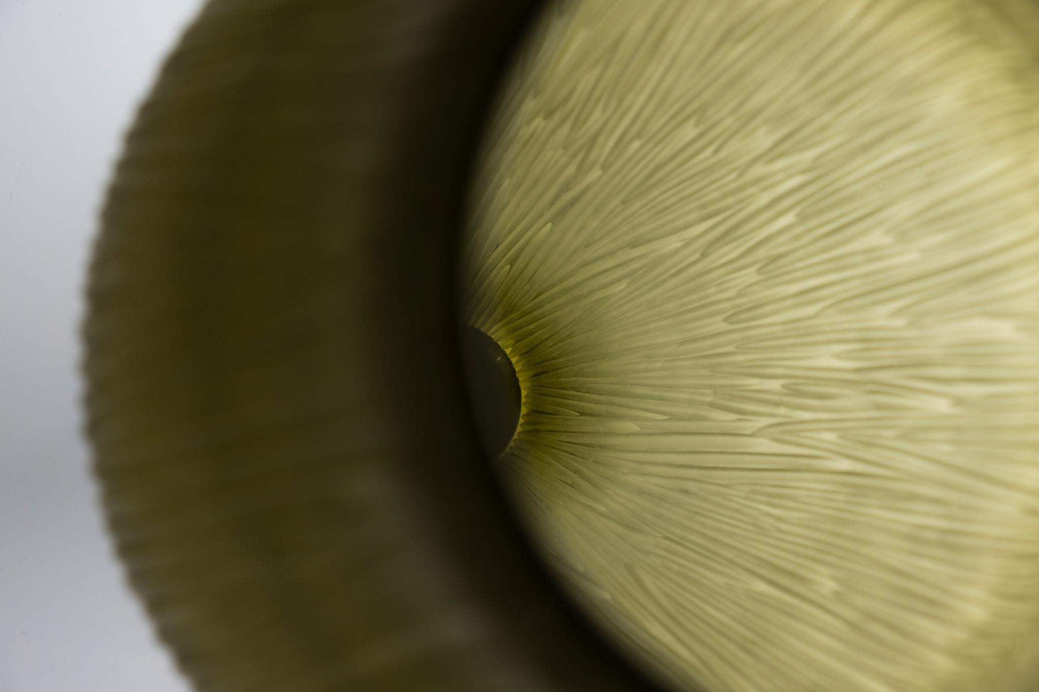 Puparìn est un vase de la collection Laguna conçu par Ludovica+Roberto Palomba pour Purho au printemps 2022.
Mince, élancé et marqué par une épaisse base en verre transparent qui semble faire flotter la couleur à l'intérieur du vase, Puparìn - dont