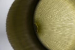 21e siècle Vase Ludovica+Roberto Palomba Laguna Puparin en verre de Murano vert mousse