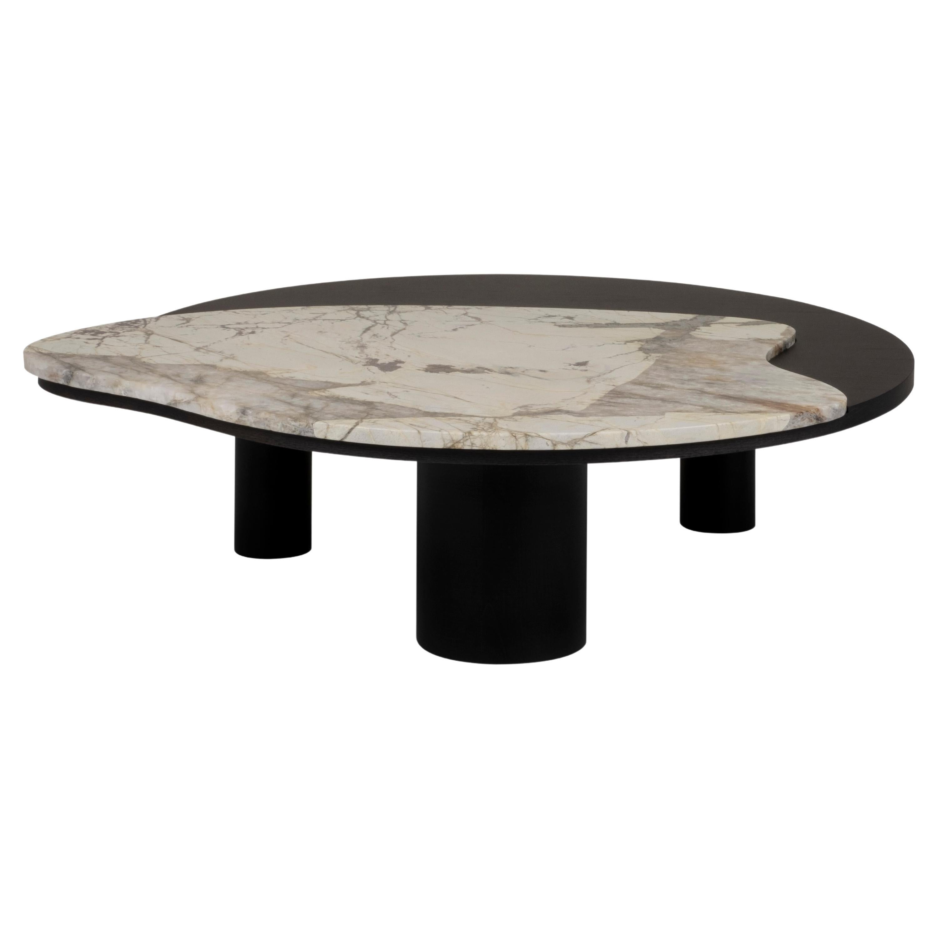 Contemporary Modern Bordeira Coffee Table with Patagonia Granite by Greenapple