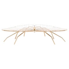 21st Century Modern Center Coffee Table in Gold Hand-Painted Acrylic and Brass
