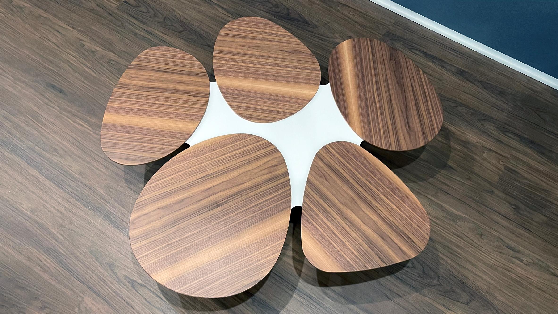 Contemporary Organic Modern Center Coffee Table in Walnut Wood and White Lacquered Wood For Sale