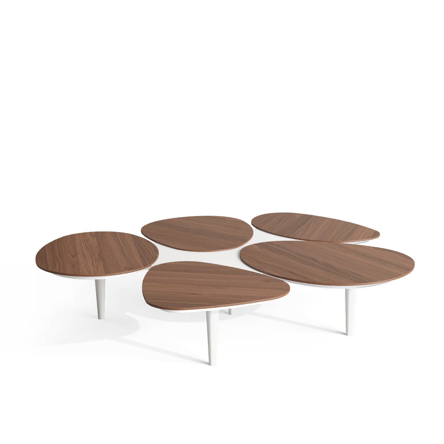 Organic Modern Center Coffee Table in Walnut Wood and White Lacquered Wood For Sale