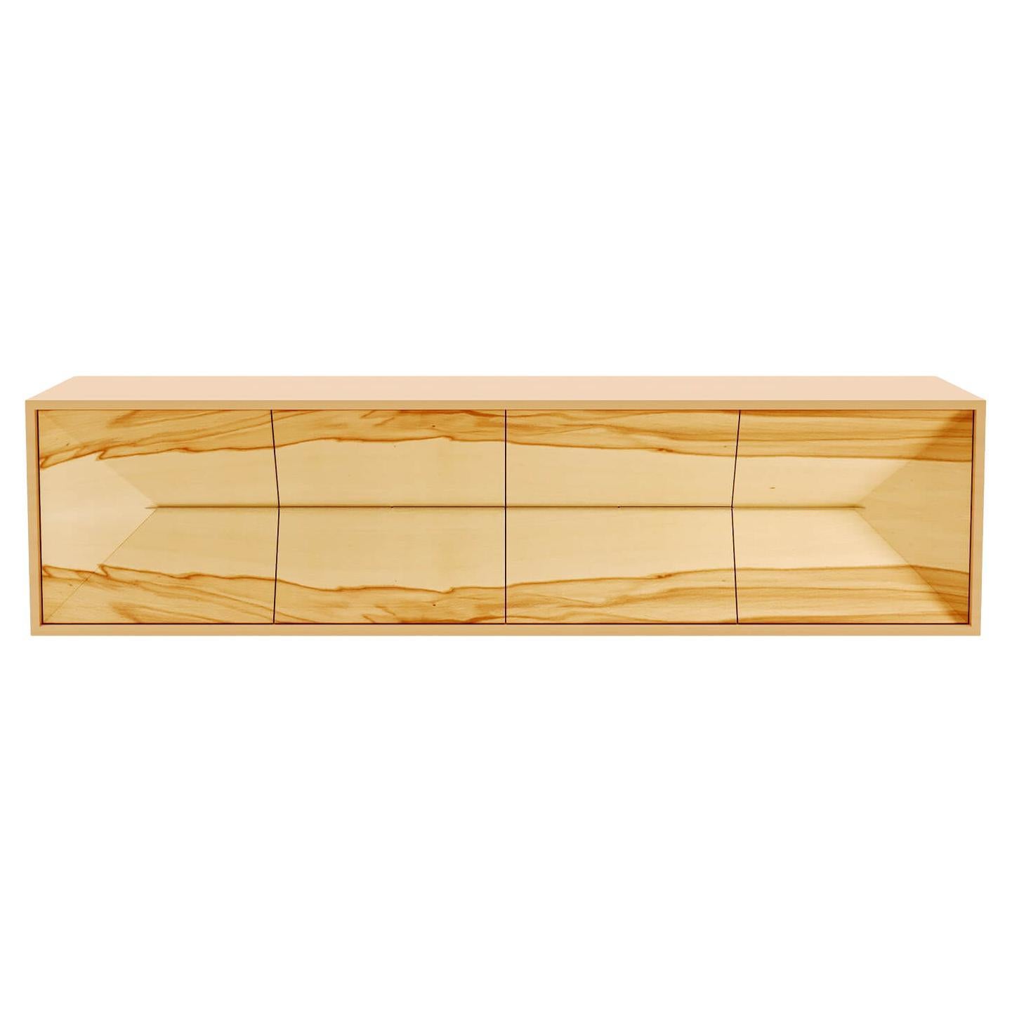 21st Century Modern Credenza Sideboard Convex in Wood and Stainless Steel