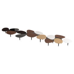 21st Century Modern Center Coffee Table in Wood, Lacquer and Glass Customizable