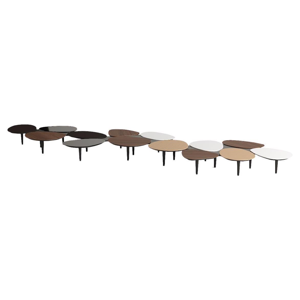 Accent Organic Large Center Coffee Table in Wood, Lacquer & Glass Customizable