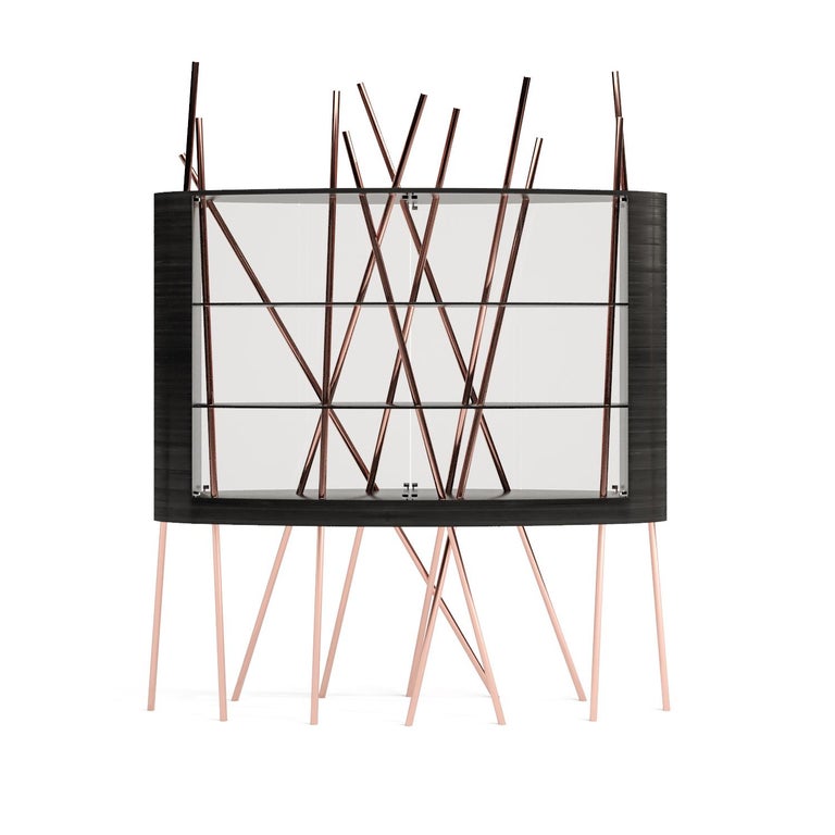 Large Vitrine Display Case in Black Oak Wood, Black Lacquer and Brushed ...