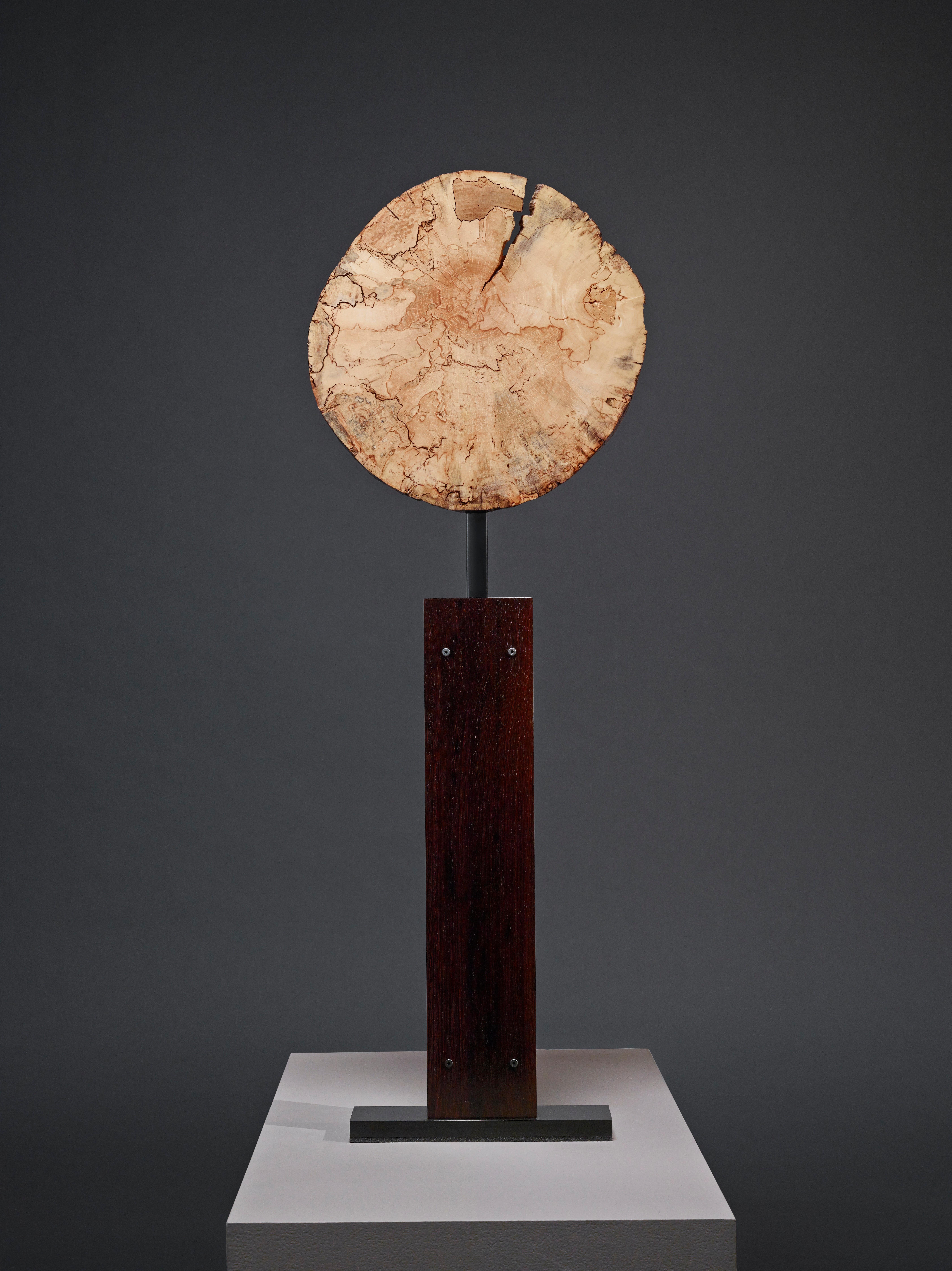 Nautilus sculpture by award-winning artist Michael Olshefski of Primal Modern. Michael brings to life the lines and patterns of an old-world map illustrated by a quill pen on linen. This soft and serene modern organic table sculpture showcases